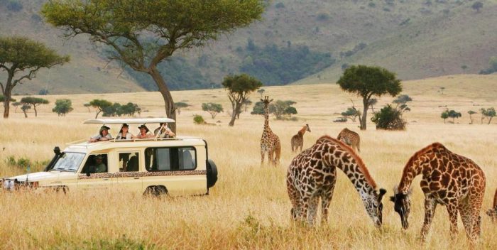African Safari Tour Operator | Reliable African Safari Company