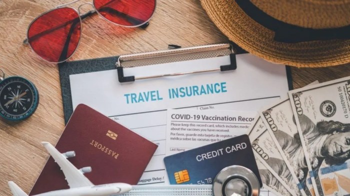 International Travel Insurance: Which Policy Suits You Best?