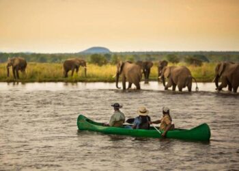 #ecofriendlytravel #wildlifeconservation #sustainableadventure # ...