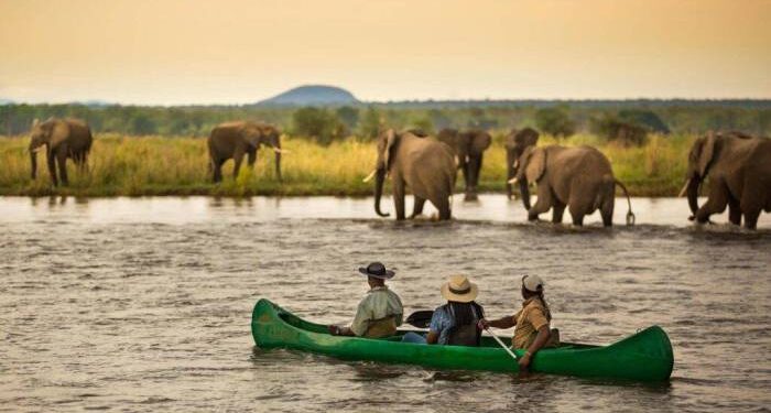 #ecofriendlytravel #wildlifeconservation #sustainableadventure # ...